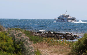 balade bateau îles Lérins