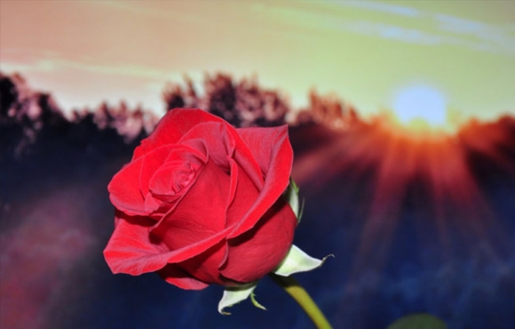 séjour saint valentin