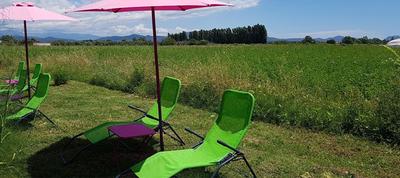 jardin prestataire paddle