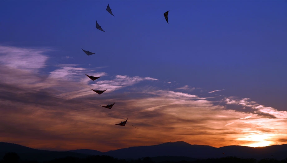 festival international de l'air frejus