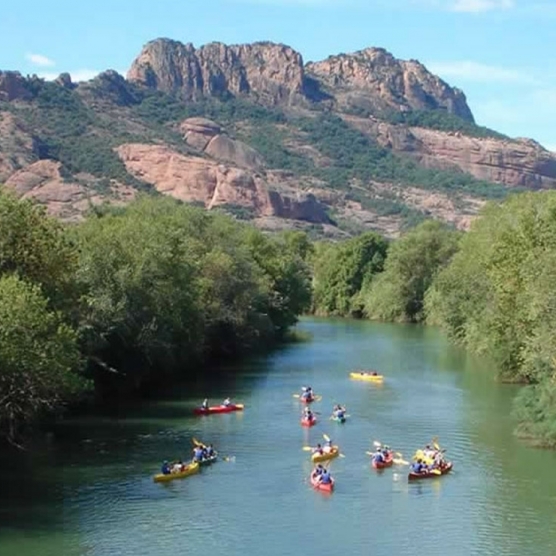kayak sur l'argens roquebrune