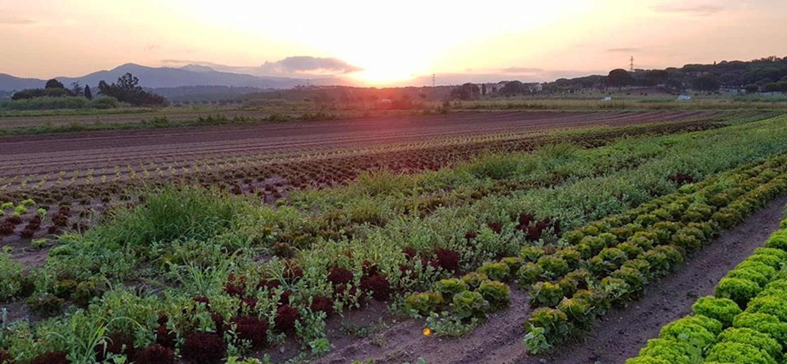 marche vallee rose frejus