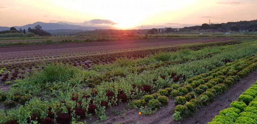 marche vallee rose frejus