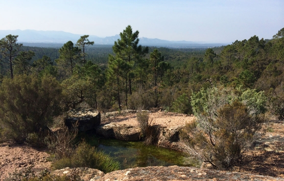 pays de fayence - bagnols-en-foret meules