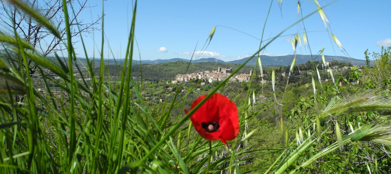pays de fayence - callian balade nature