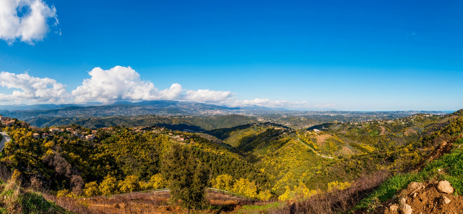 pays de fayence - tanneron