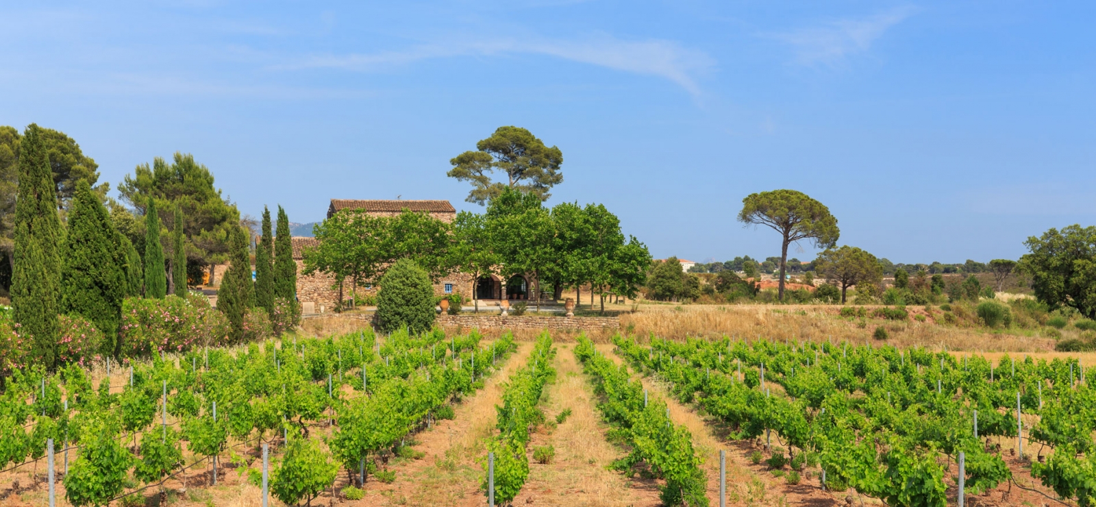 puget sur argens - chateau cabran