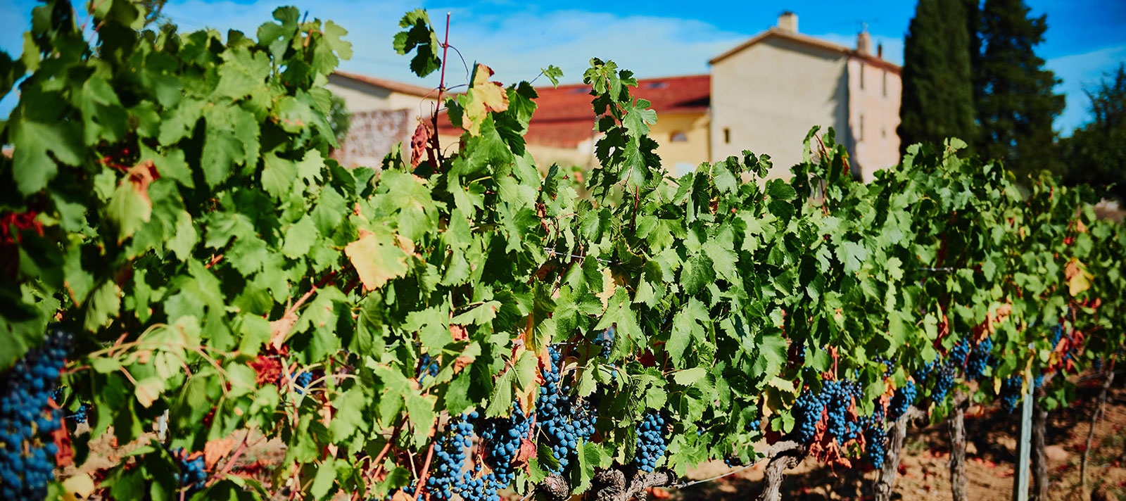 domaine des escaravatiers puget sur argens