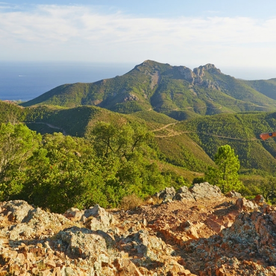 balade et randonnes dans l'esterel