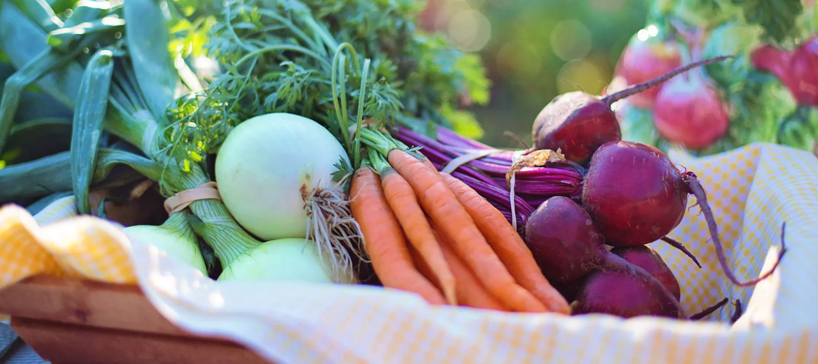 marche de roquebrune sur argens