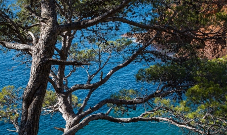 saint-raphael-calanque-saint-barthelemy