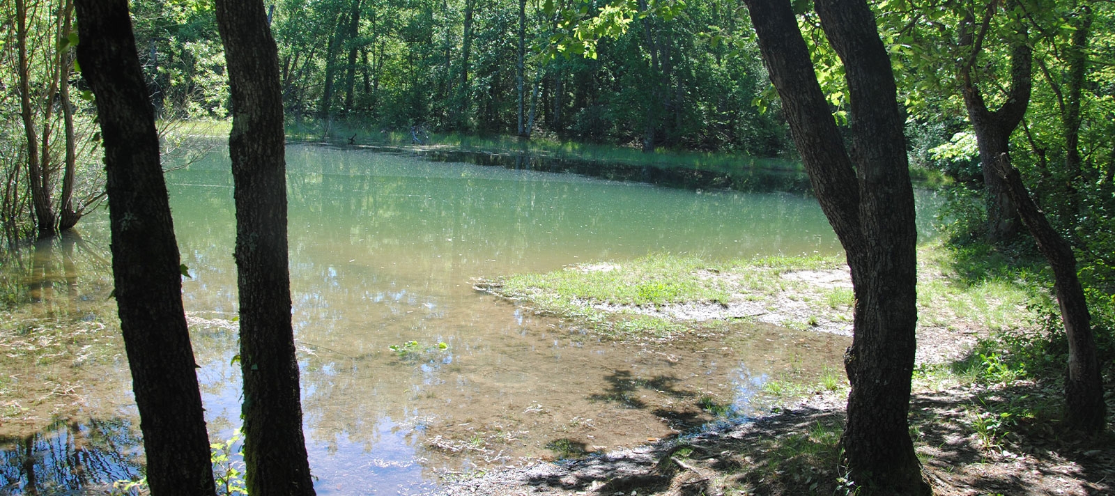 espaces protégé réserve de Fondurane