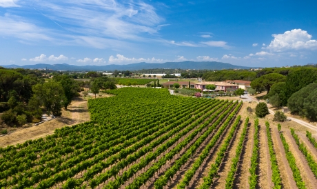 experience - clos des roses 1