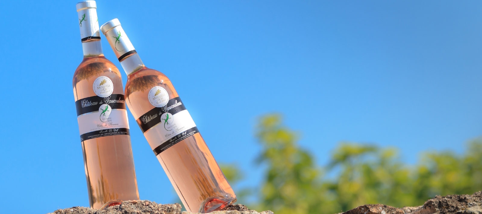 Château Vaucouleurs