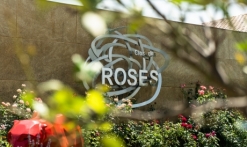 experience - clos des roses 4