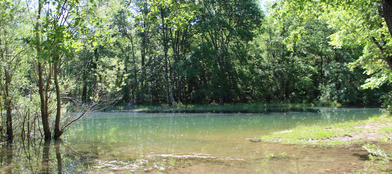 Réserve de fondurane