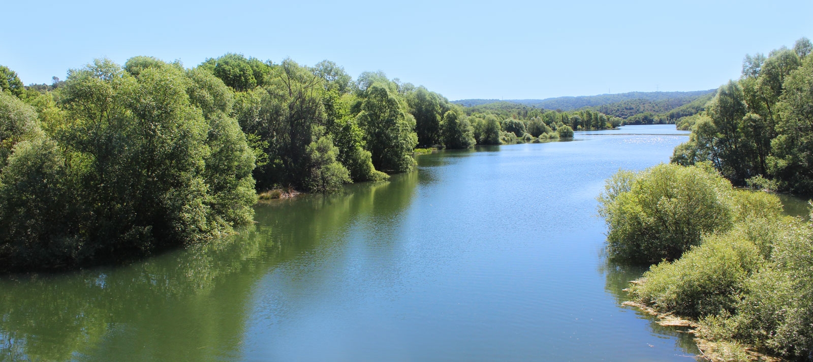 La réserve de Fondurane à Montauroux