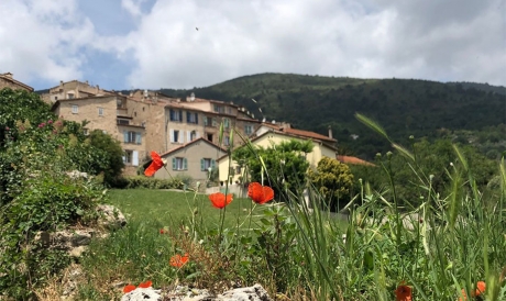 Seillans et coquelicot