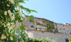 Seillans fleurs