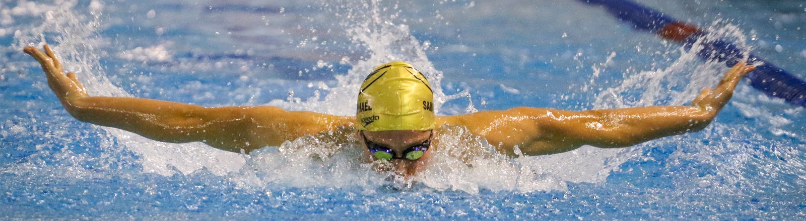 groupes - sportifs natation