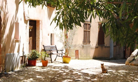 seillans pays de fayence