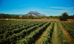 mas des escaravatiers