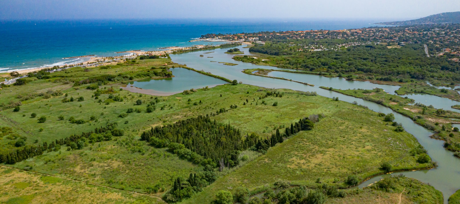 animaux etangs de villepey