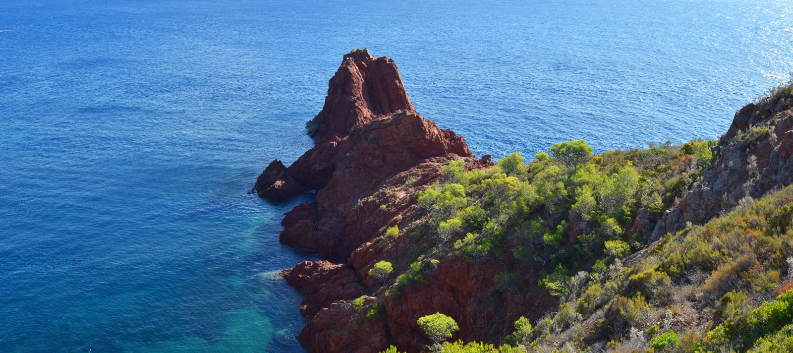 animaux sanctuaire de pelagos