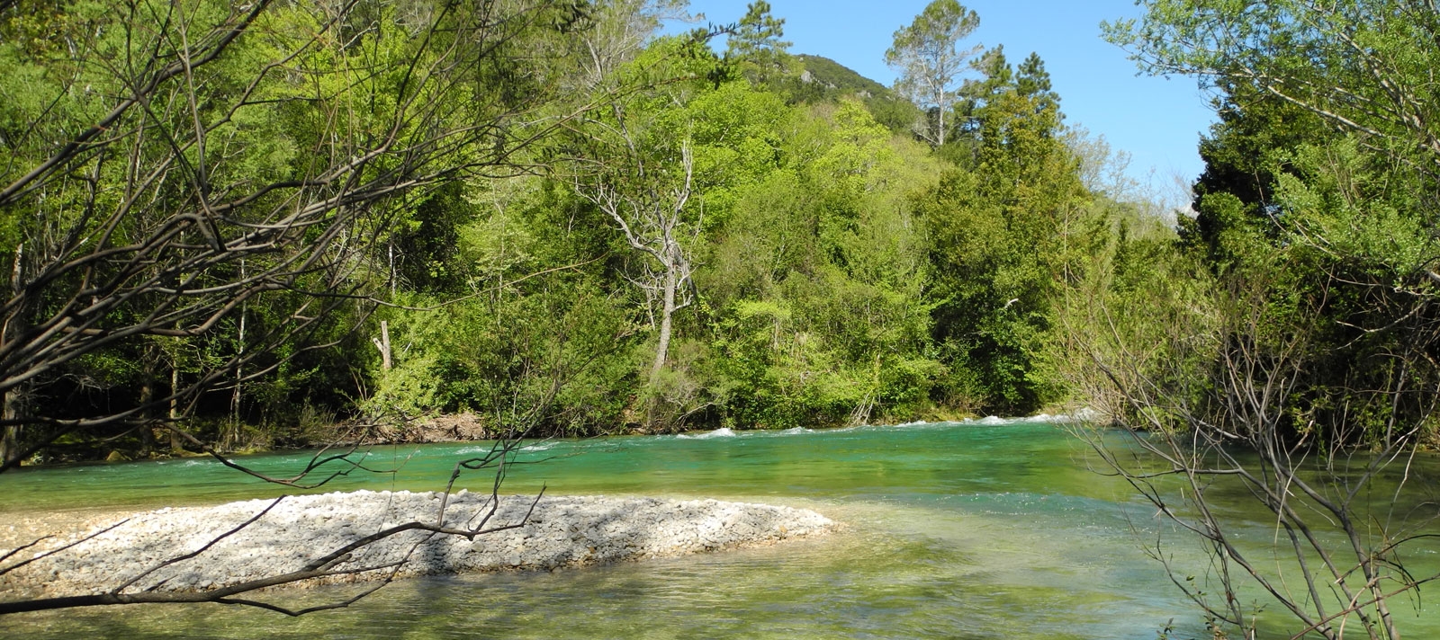 animaux gorges de la siagne