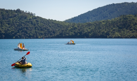 pays de fayence saint-cassien - arbousiers - 2