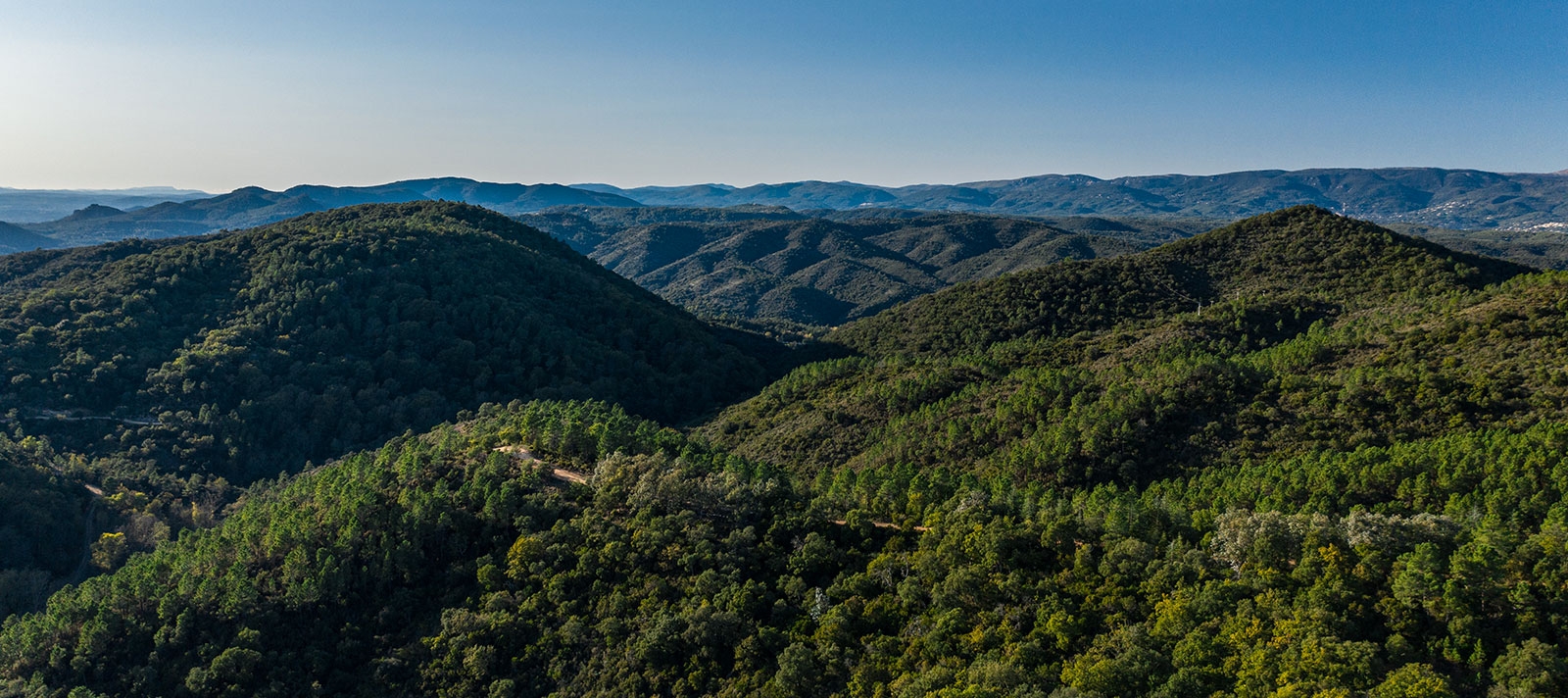 Massif depuis les Adrets
