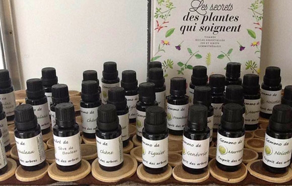village des talents creatifs - in magicis natura