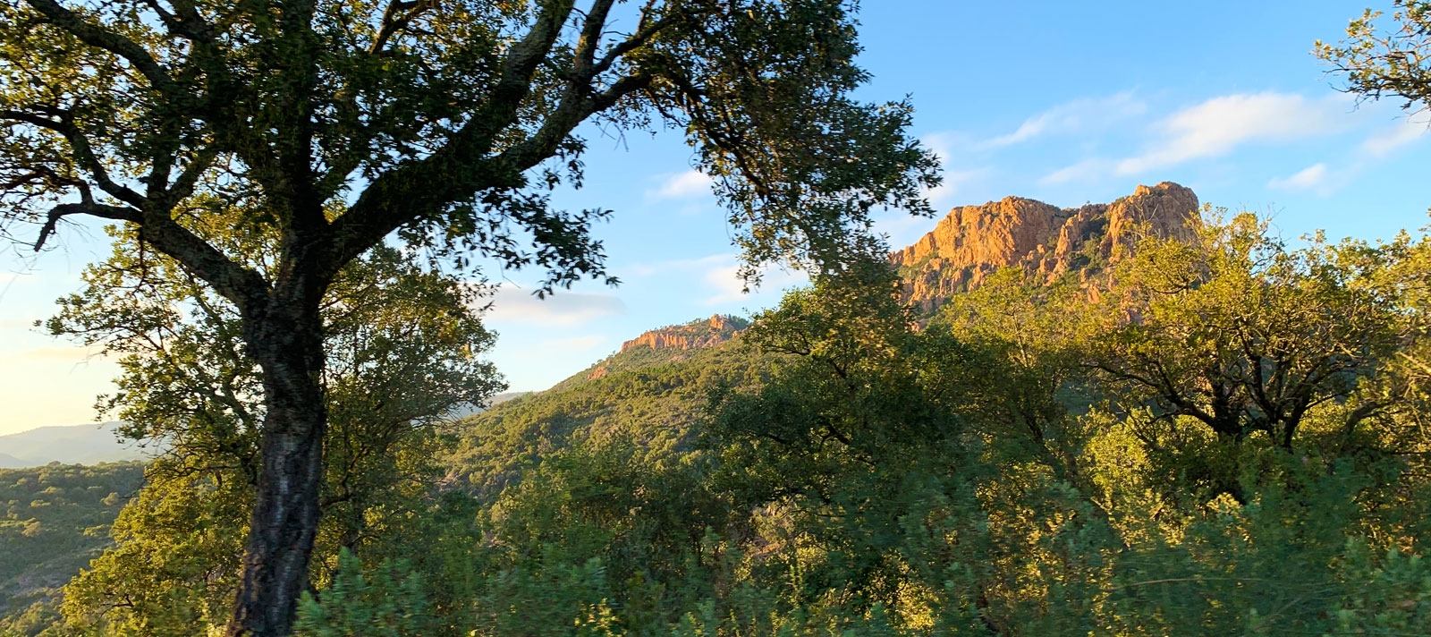 decouverte de l'esterel avec guide en minibus
