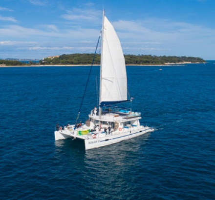 top10 activites evjf - catamaran