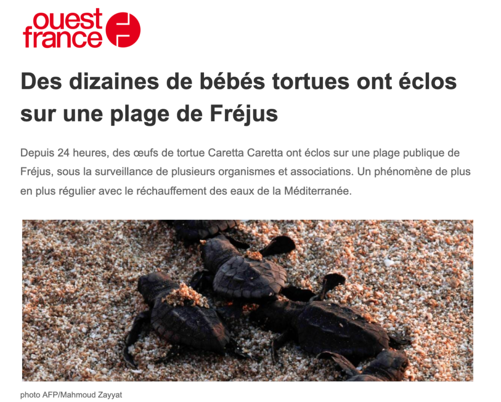 ouest-france-tortues-fréjus