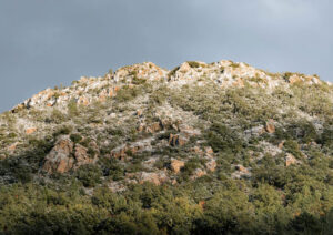 esterel - neige roquebrune sur Argens