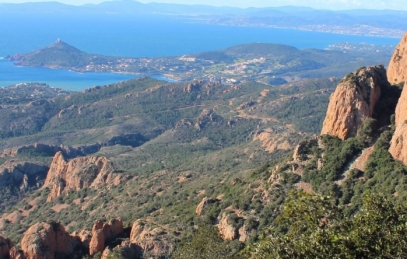 Forêt-Esterel