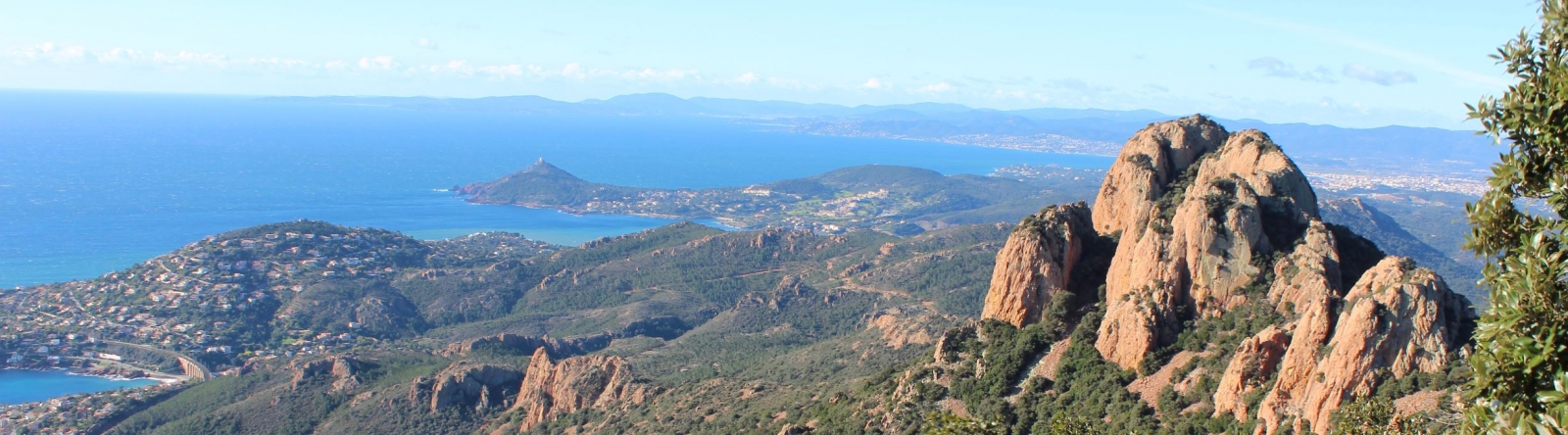 Forêt-Esterel