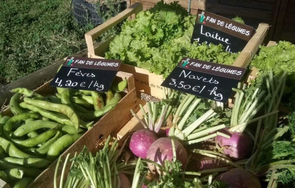 les légmes de fan de légumes
