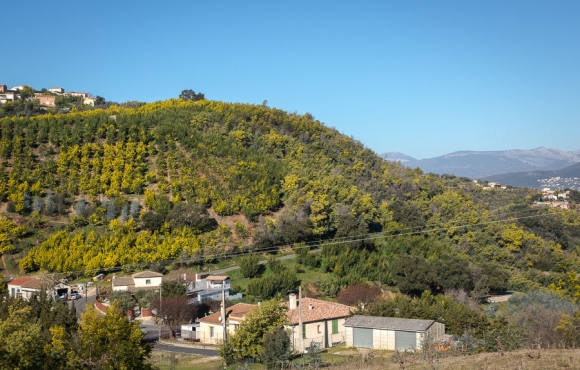 vue de la forcerie Augier