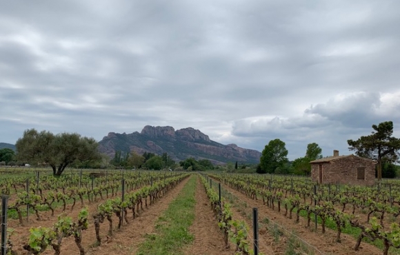 domaine Jauffret