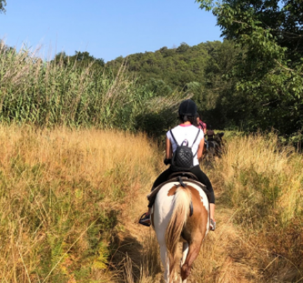 A cheval dans les vignes