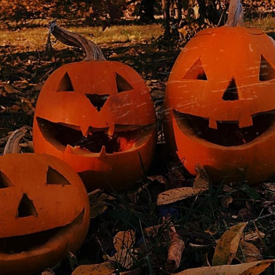 quoi-faire-a-halloween