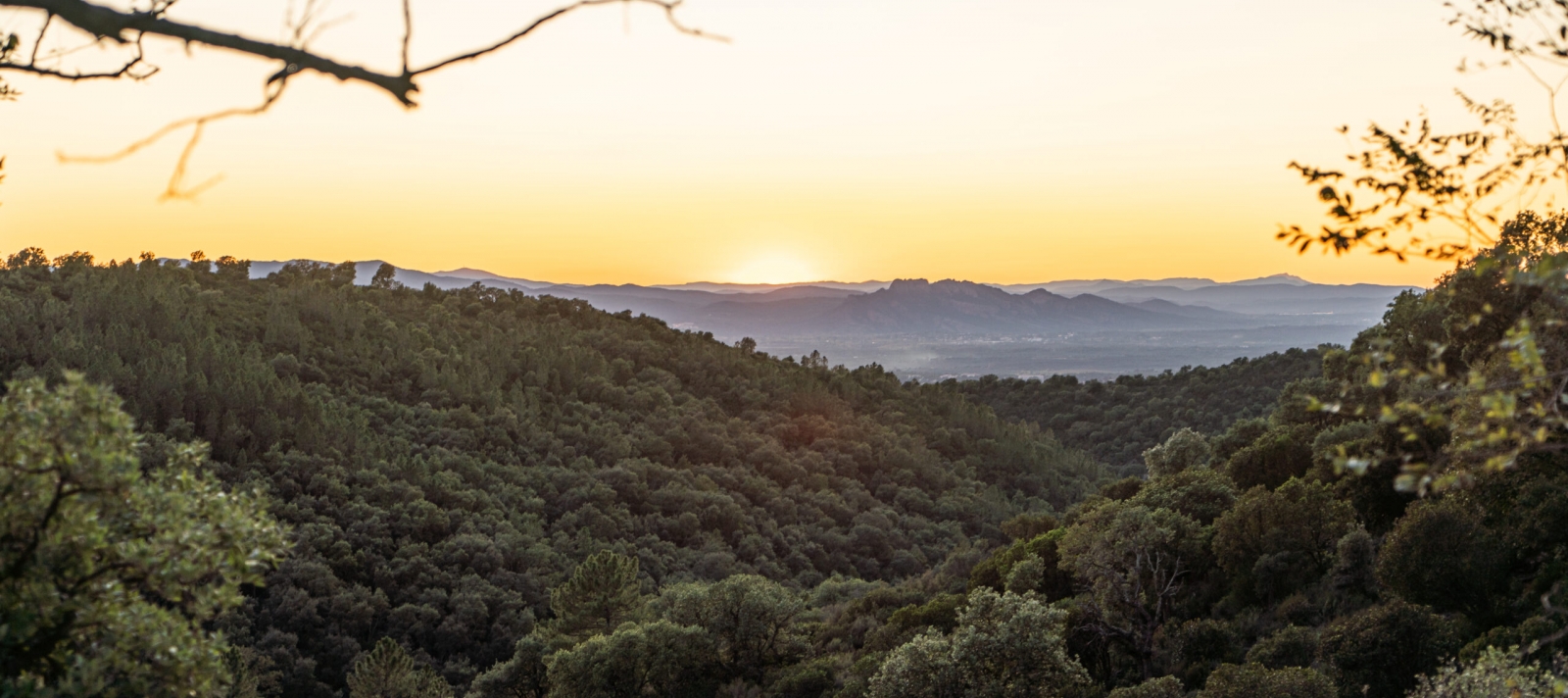 Coucher de soleil - Les Adrets de l'Estérel
