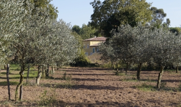 Domaine Oléicole Diouloufet