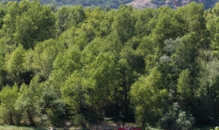 Basis des Felsens