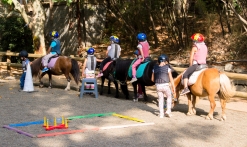 Séance les bébés cavaliers