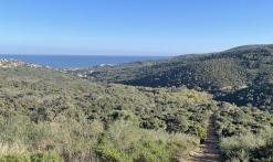 Sentier