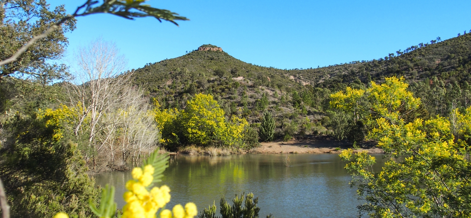 Randonnée : Tour des Lacs des Peguières