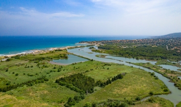 Etang de villepey, petite camargue du var